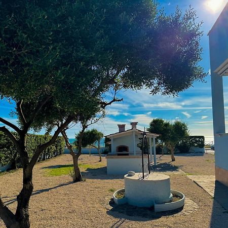 Edo House Anzio - Beachfront - Fronte Mare - Affittacamere 외부 사진