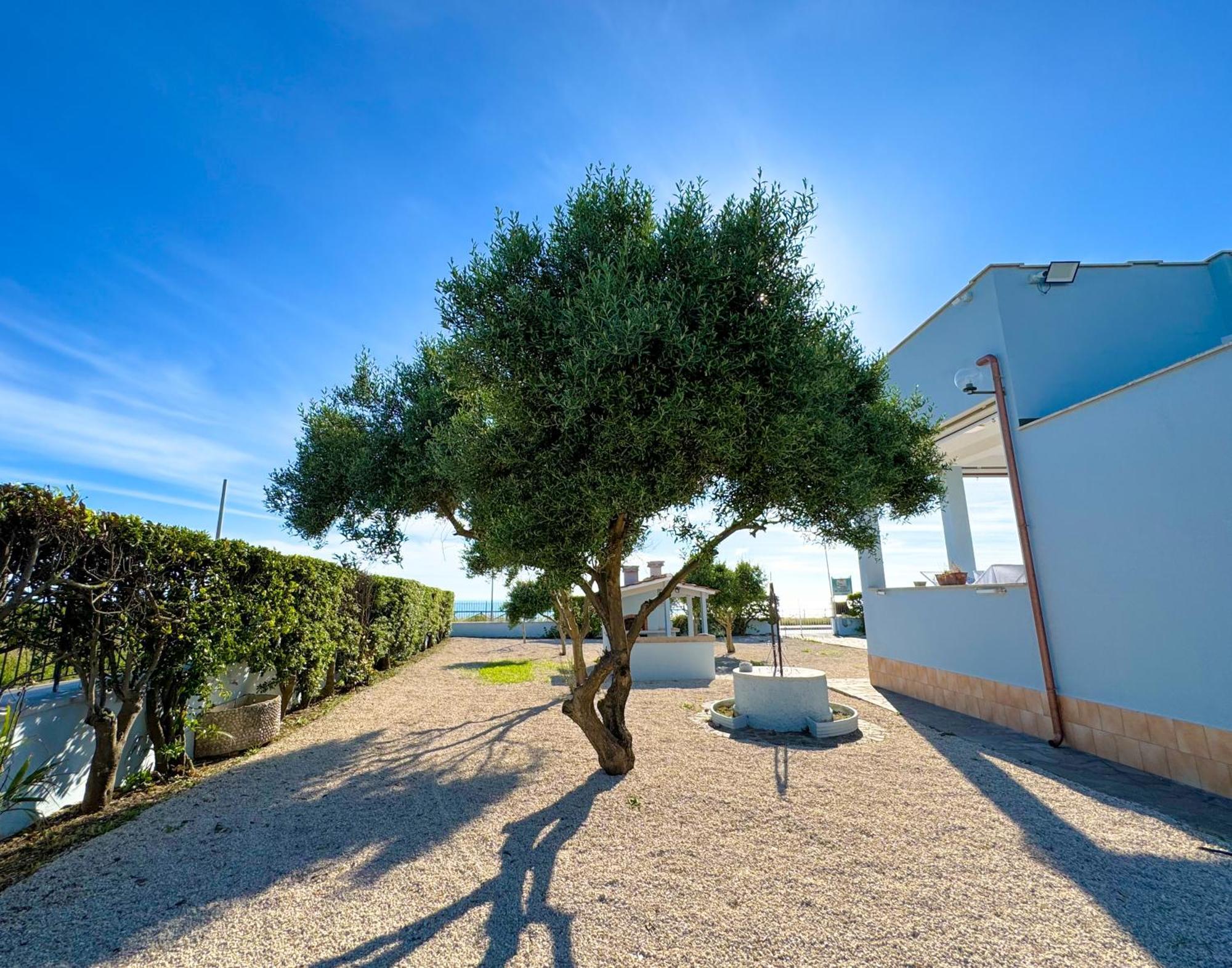 Edo House Anzio - Beachfront - Fronte Mare - Affittacamere 외부 사진